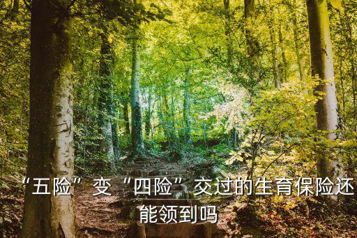 邯鄲生育保險交多少,醫療保險與生育保險合并
