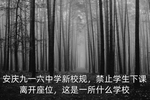 安慶九一六中學新校規，禁止學生下課離開座位，這是一所什么學校