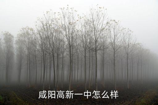 咸陽高新一中怎么樣