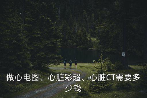 做心電圖、心臟彩超、心臟CT需要多少錢