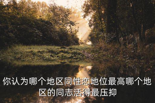 你認為哪個地區(qū)同性戀地位最高哪個地區(qū)的同志活得最壓抑