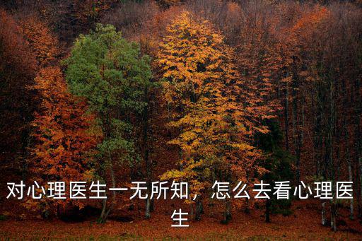 對(duì)心理醫(yī)生一無所知，怎么去看心理醫(yī)生