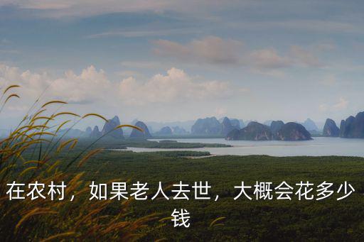 在農村，如果老人去世，大概會花多少錢