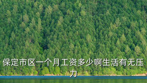 保定最低工資標準稅后多少,保定平均工資是多少錢