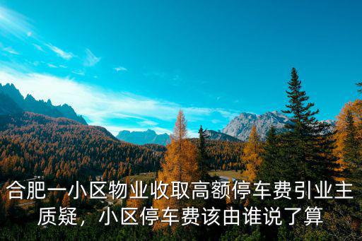 合肥一小區(qū)物業(yè)收取高額停車費引業(yè)主質(zhì)疑，小區(qū)停車費該由誰說了算