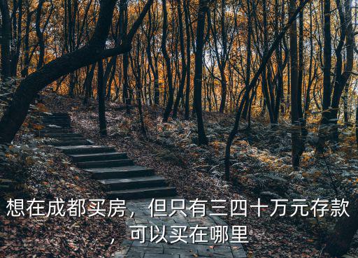 想在成都買房，但只有三四十萬元存款，可以買在哪里