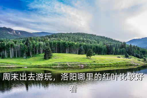 周末出去游玩，洛陽哪里的紅葉比較好看