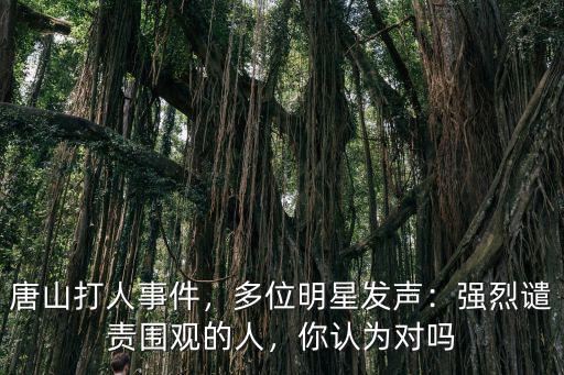 唐山有多少明星,唐山打人事件