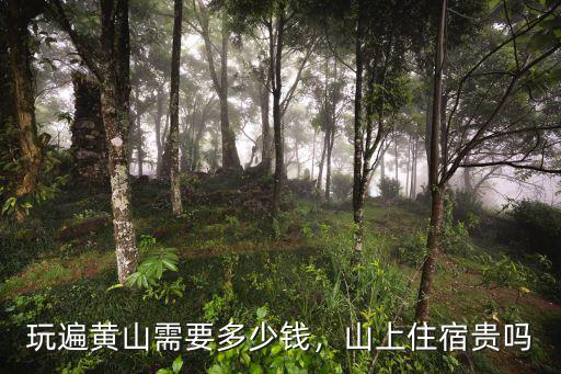 黃山自助餐多少錢一天,黃山門票多少錢