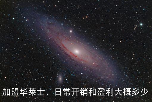 加盟華萊士，日常開銷和盈利大概多少