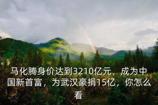 馬化騰身價達到3210億元，成為中國新首富，為武漢豪捐15億，你怎么看