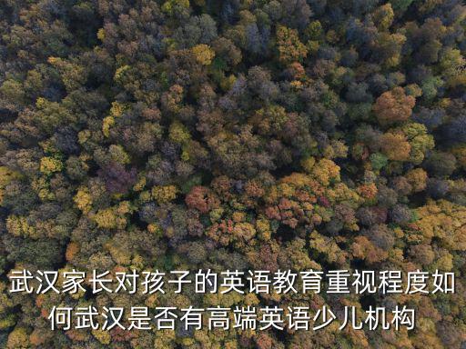 武漢青少年宮英語課怎么樣,瑞思英語怎么樣