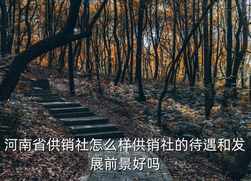 湖北省供銷總社待遇怎么樣,河南省供銷社怎么樣