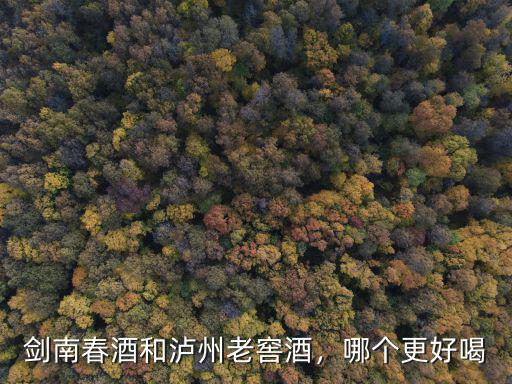 瀘州老窖的酒適合哪里人喝,瀘州老窖出的酒