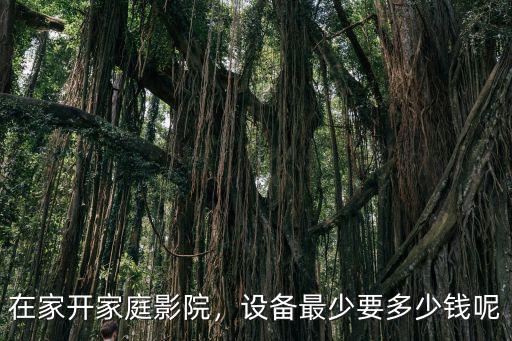 唐山智能家庭影院多少錢,在家開家庭影院