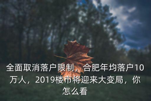 全面取消落戶限制，合肥年均落戶10萬人，2019樓市將迎來大變局，你怎么看
