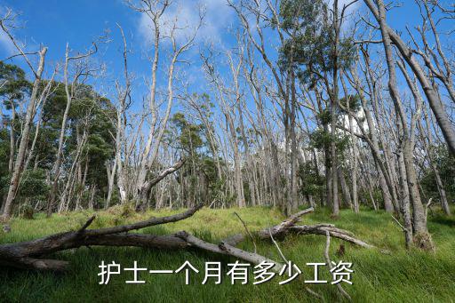 張家口護士工資是多少,護士一個月有多少工資