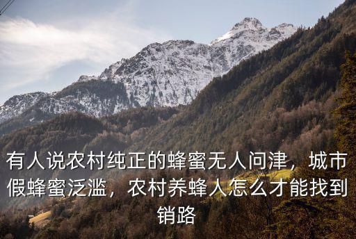 有人說農村純正的蜂蜜無人問津，城市假蜂蜜泛濫，農村養蜂人怎么才能找到銷路