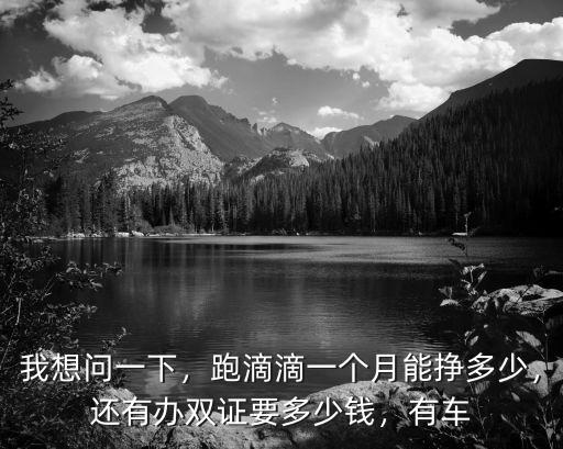 我想問一下，跑滴滴一個月能掙多少，還有辦雙證要多少錢，有車
