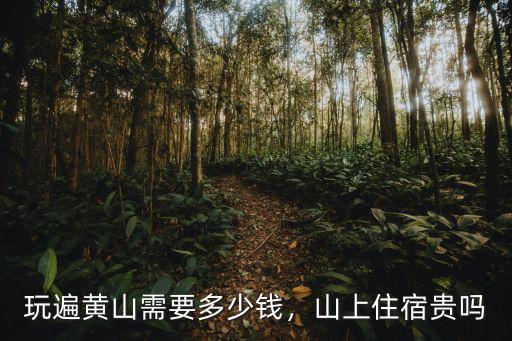黃山報團多少錢,玩遍黃山需要多少錢