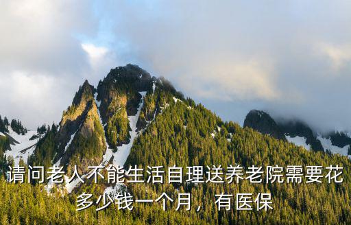 請問老人不能生活自理送養老院需要花多少錢一個月，有醫保