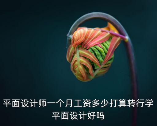 平面設計師一個月工資多少打算轉行學平面設計好嗎