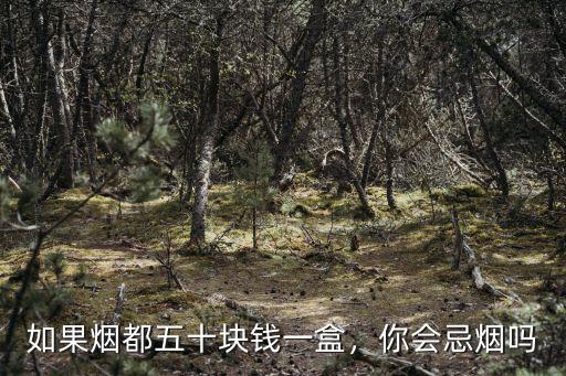 50元黃山煙多少錢一包,最低價的煙也要50元一包