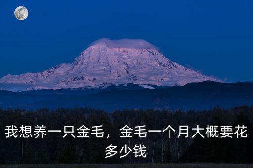 安慶市一只金毛多少錢,金毛一個月大概要花多少錢