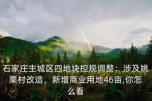 石家莊商業(yè)地塊多少錢,石家莊主城區(qū)四地塊控規(guī)調(diào)整