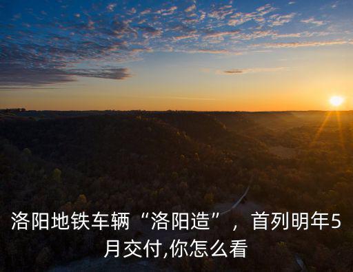 洛陽地鐵車輛“洛陽造”，首列明年5月交付,你怎么看