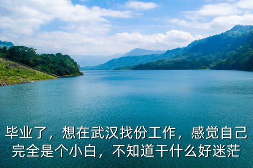 畢業(yè)了，想在武漢找份工作，感覺自己完全是個小白，不知道干什么好迷茫