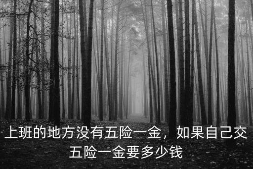 蕪湖五險一金公司代繳多少錢,如果自己交五險一金要多少錢