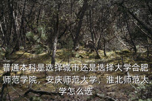 安慶師范大學藝術生招生分數線是多少,安慶師范大學