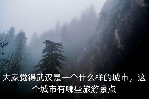 武漢城市天際線怎么改變風景,武漢的城市美景怎么拍