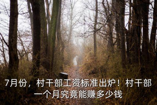 河北省農村村干部工資標準是多少錢,村干部工資標準出爐