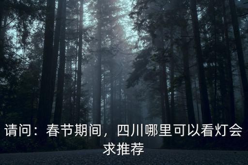 元宵節(jié)成都晚上哪里可以看燈,成都哪里的夜景最漂亮