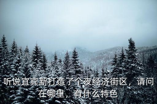 聽說宜賓新打造了個夜經(jīng)濟街區(qū)，請問在哪里，有什么特色
