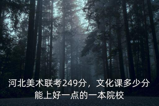 河北美術聯(lián)考249分，文化課多少分能上好一點的一本院校