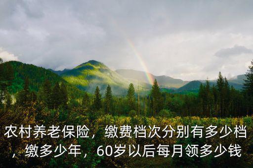 河北農民養老保險多少,農村養老保險
