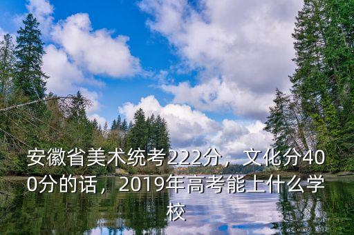 安徽省美術(shù)統(tǒng)考222分，文化分400分的話，2019年高考能上什么學(xué)校