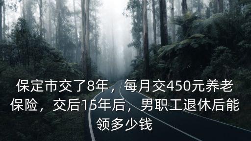 保定養老保險領多少錢一個月,每月交450元養老保險