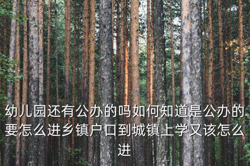 隨州公立幼兒園怎么進(jìn),怎么樣才能進(jìn)公立幼兒園