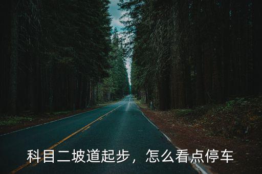 科目二坡道起步，怎么看點停車