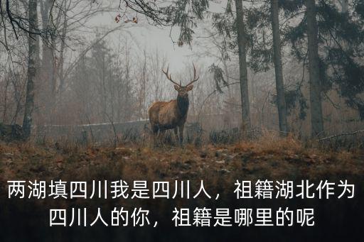 四川趙忠祥是哪里的老家,祖籍是哪里的呢