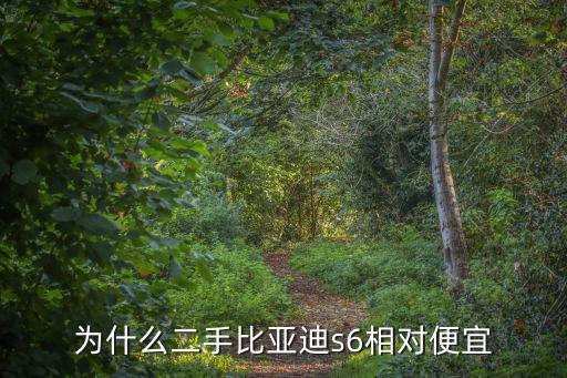 為什么二手比亞迪s6相對便宜