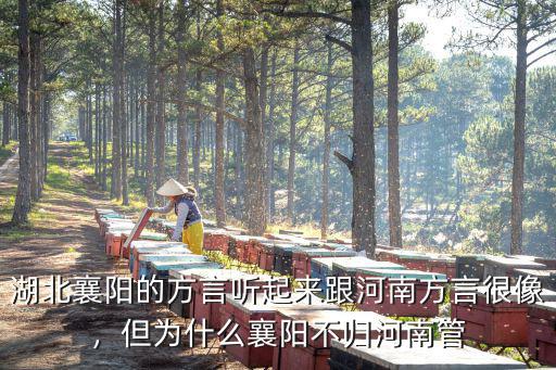 湖北襄陽(yáng)的方言聽起來(lái)跟河南方言很像，但為什么襄陽(yáng)不歸河南管