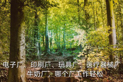 電子廠、印刷廠、玩具廠、醫療器械廠、牛奶廠，哪個廠工作輕松