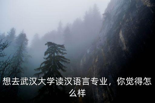 想去武漢大學讀漢語言專業(yè)，你覺得怎么樣