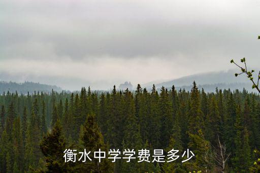 衡水老灶臺學費多少,衡水中學學費是多少
