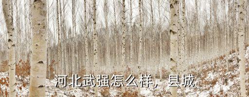 河北武強縣城房價多少,河北縣城房價漲到一萬多